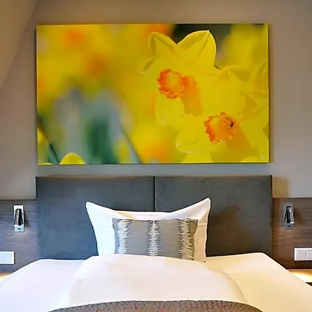 Forellenhof Hotel 3*